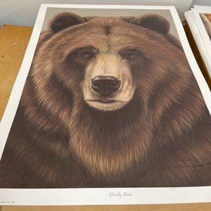 Grizzly Bear by Harold Rigsby 699/975